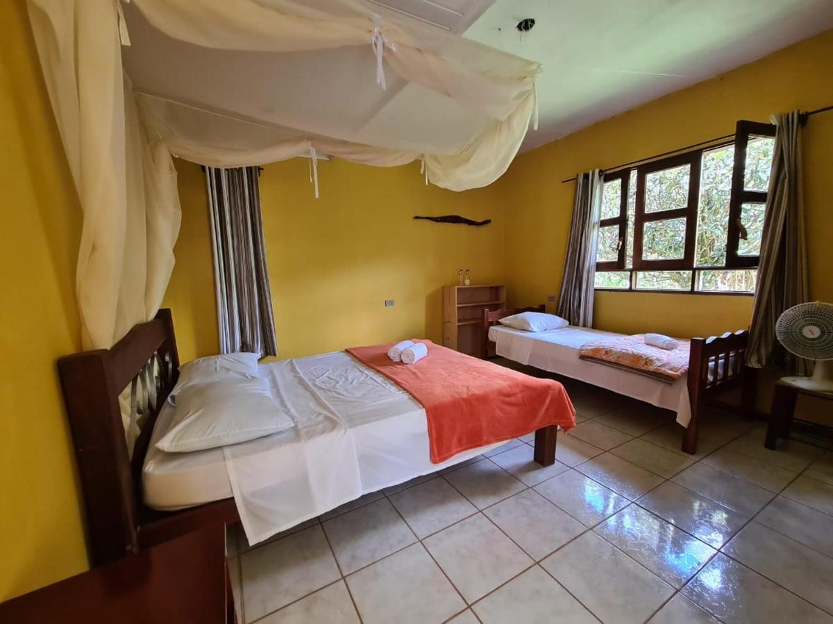 Casa Da Trilha Hotel Вале до Капао Екстериор снимка